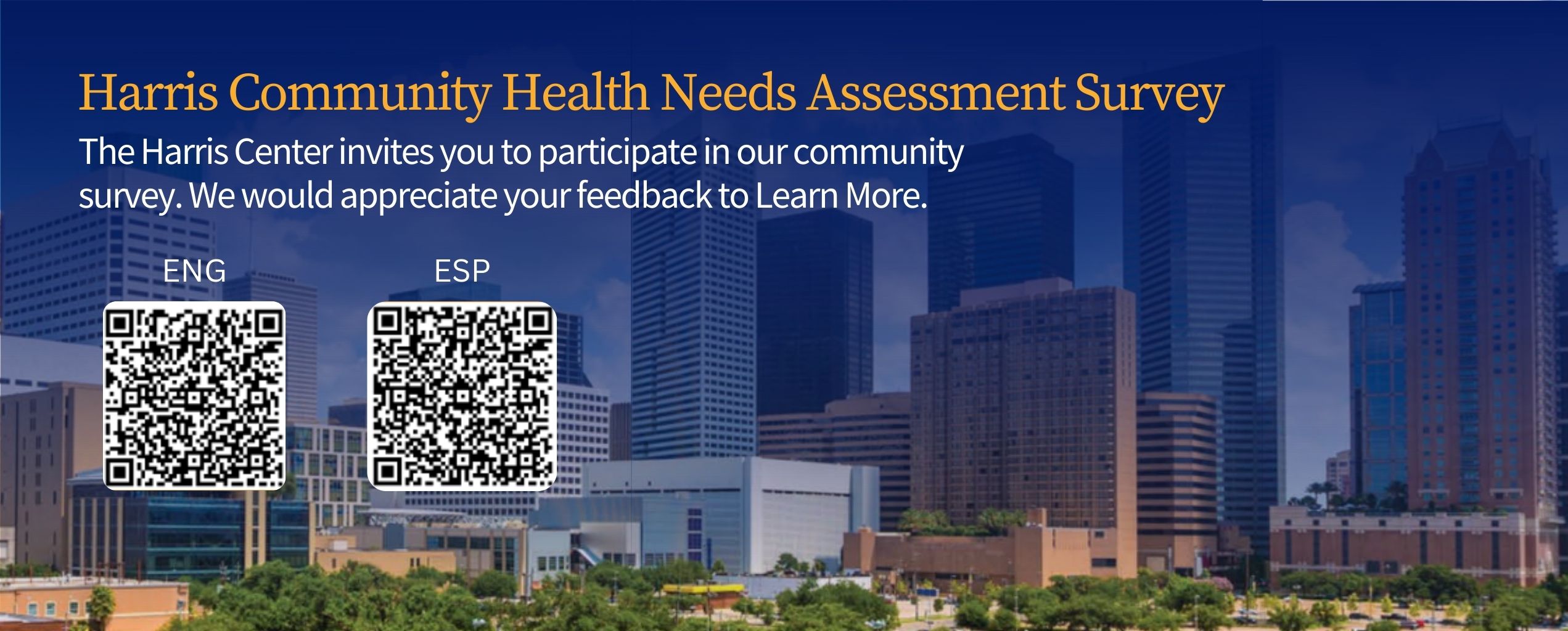 Community Health Assessment Survey